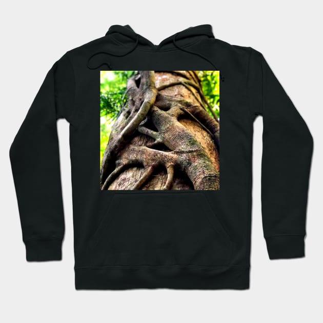 Twisted Roots Forever Hoodie by Felicity-K